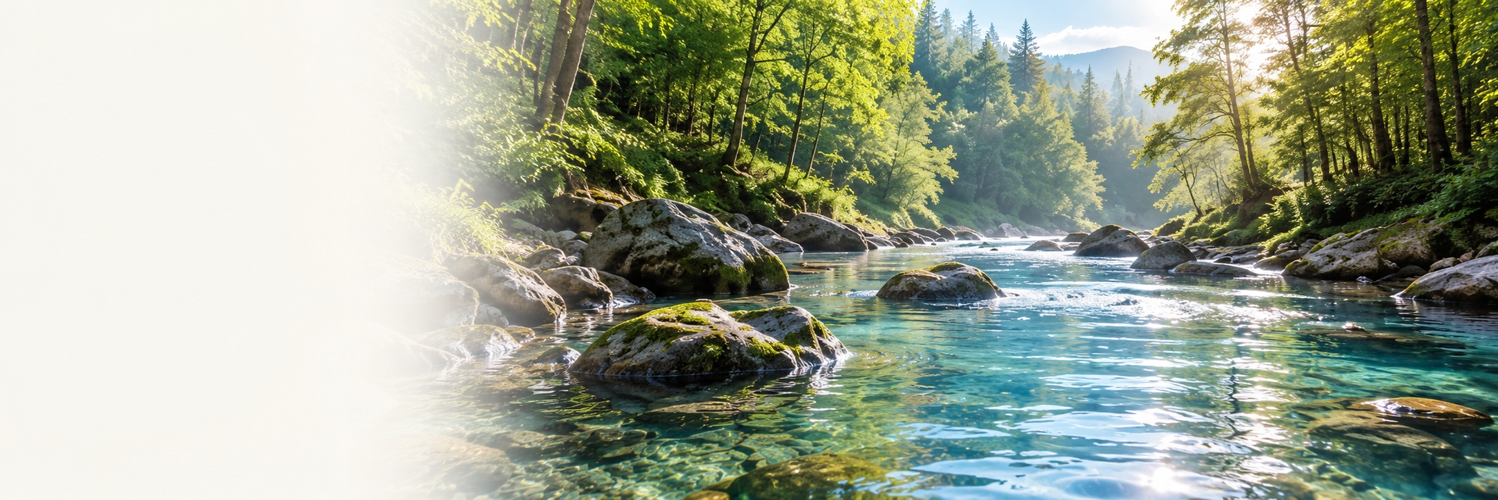 林中溪流